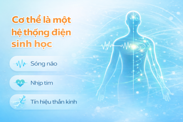 Cơ thể con người là một hệ thống điện sinh học