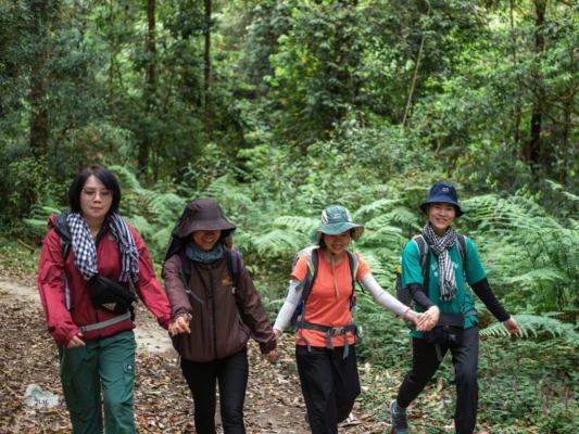 Du lịch chữa lành